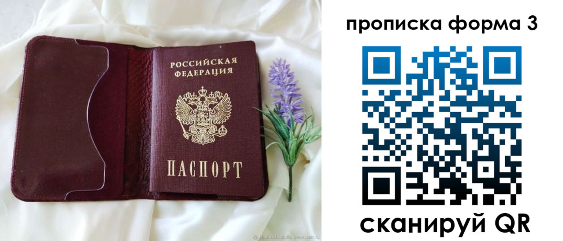 прописка 2025 в Кандалакше